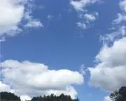 Soraの画像