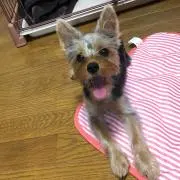 こーーきーーーの画像