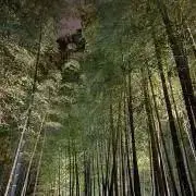 のりの画像