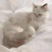 ♡の画像