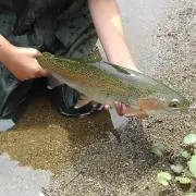 釣り太郎ε(ε•ө•)з