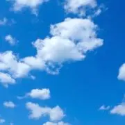 ぎゅうにくの画像