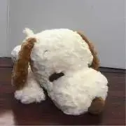 ちひちゃんの画像