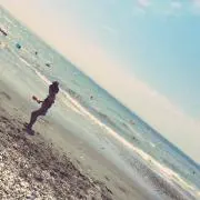 ★Y