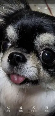 みゆり
