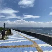 Toikaraの画像