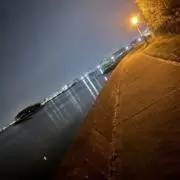 ポムポムの画像