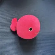 おさかなの画像
