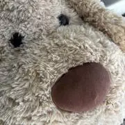 まろいぬの画像