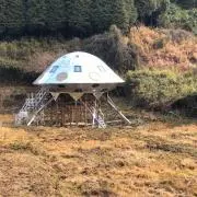 とかしきの画像