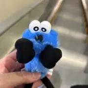 ぽんの画像