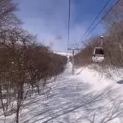 クリームクリームの画像
