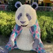 srの画像