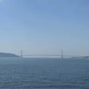 y.sの画像