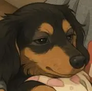 LAVの画像