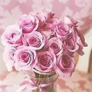 ❤︎ひまわり❤︎プロフ必読❤︎