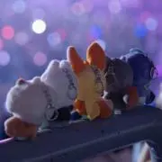 Mayuの画像
