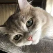 まるまーるの画像