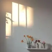 ほの画像