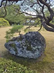 ぴおの画像