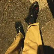 こぬきの画像
