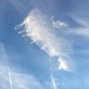 るんるん