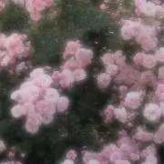 vf