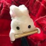 うさこの画像