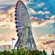 夢　咲の画像