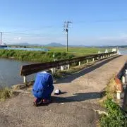 井上ちゃんの画像