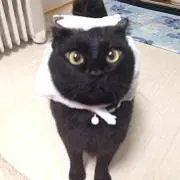 アチャコ