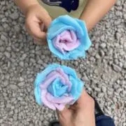 ゆきんこの画像