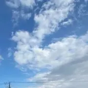 Pan