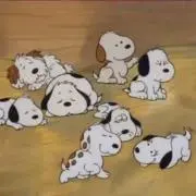 ざっくぅの画像