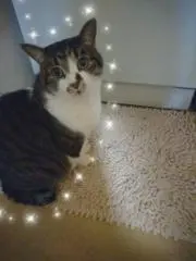 ばぁばの画像