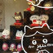 ねこちの画像