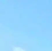 朝の画像