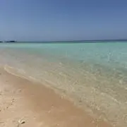 sunの画像