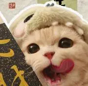 ☆猫天市場★の画像