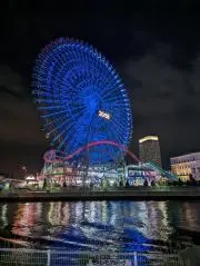 tomo
