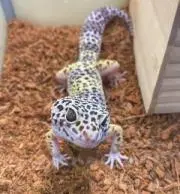 まーくん