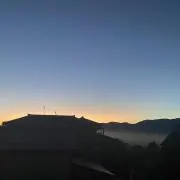 きの画像