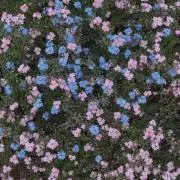 安く早く丁寧にを心がけております！の画像
