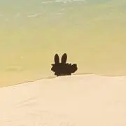 つき【お取り引き詳細はプロフ確認】の画像