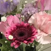 ハッピーの画像