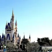 カポエラー e 拡張パック第2弾 地図にない町 056/092 アンリミ - メルカリ
