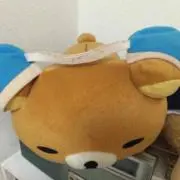 TM[即購入/無言取引歓迎]の画像
