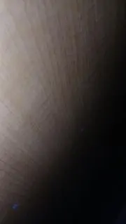 minatoの画像