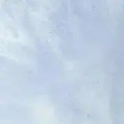 やの画像