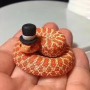 まっちゃ